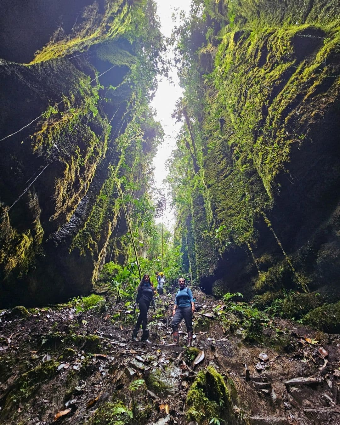 Turismo sostenible: cómo viajar responsablemente por Colombia