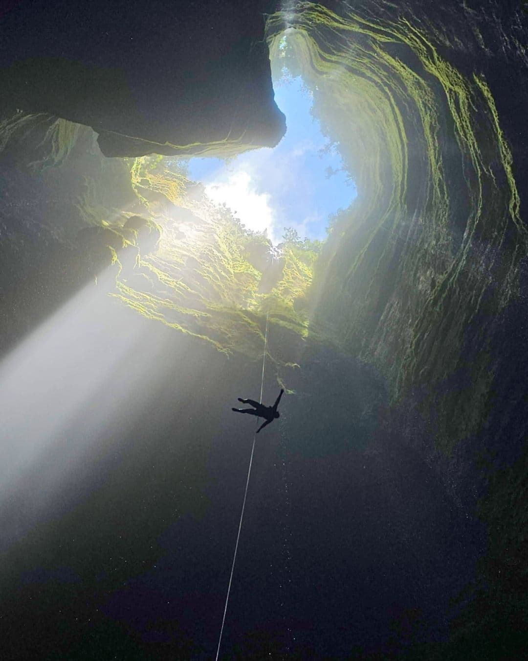 Bosques de Pandora “El Avatar de Colombia”