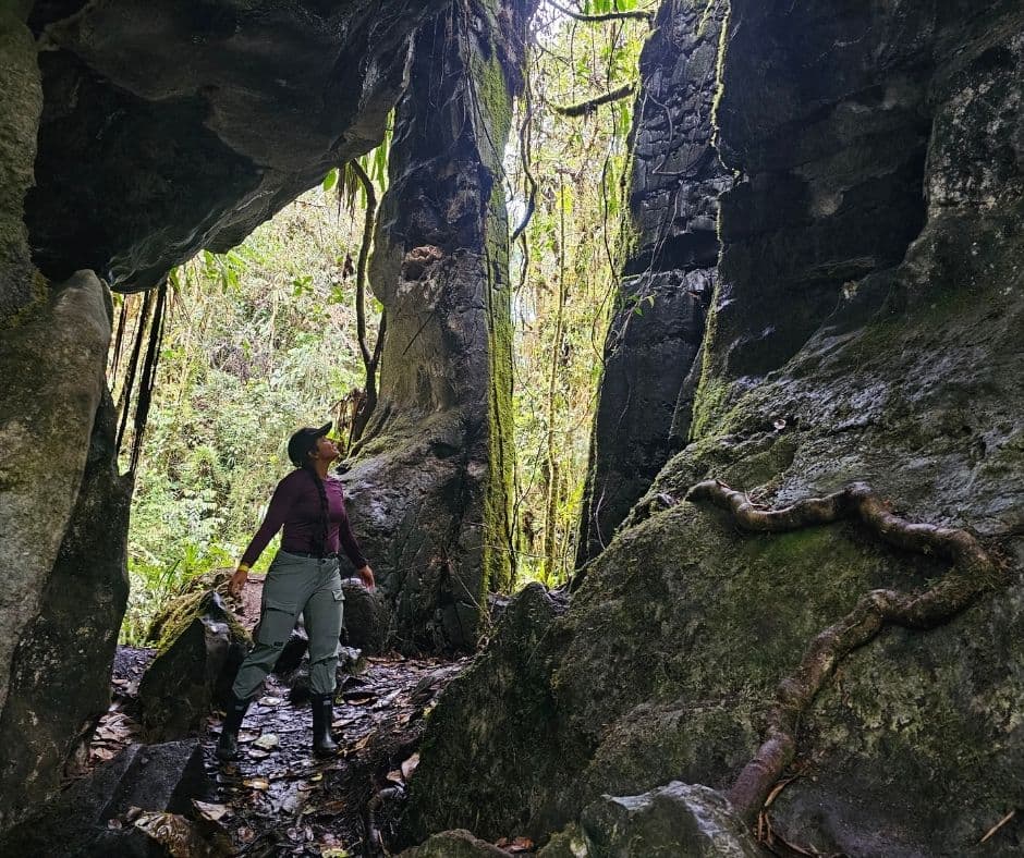 Bosques de Pandora “El Avatar de Colombia”