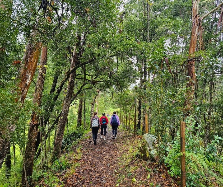 Caminata a la Cascada de Nemustén