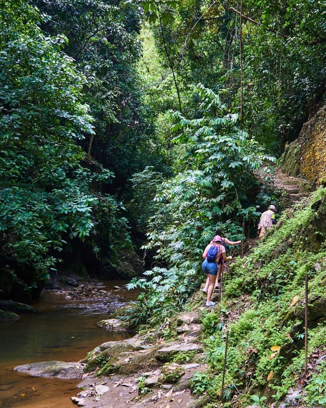 Ciudad Perdida de Falan: Explora Minas Antiguas, Honda Colonial y el Río Magdalena