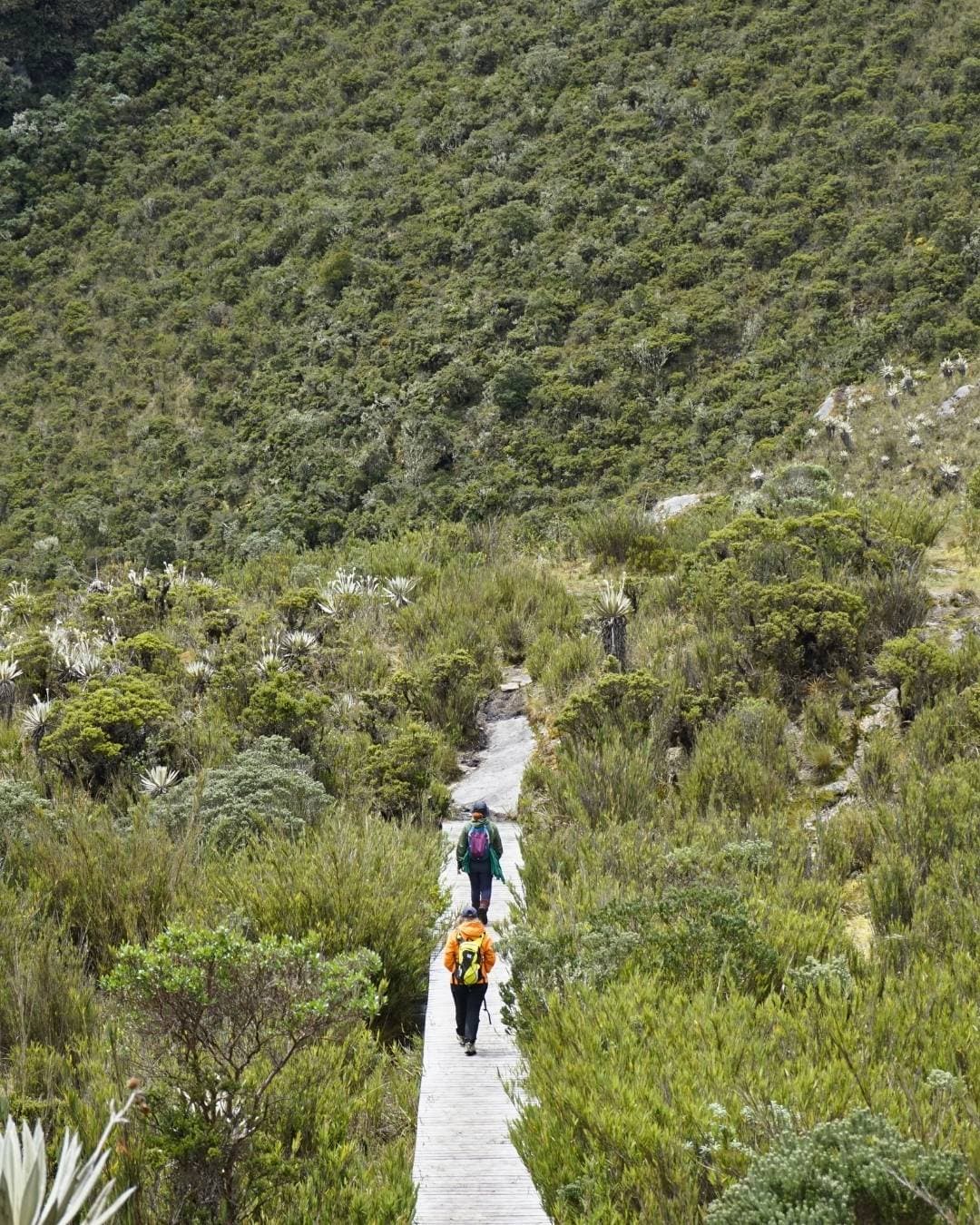 Lagunas de Siecha: Caminata en el páramo de Chingaza