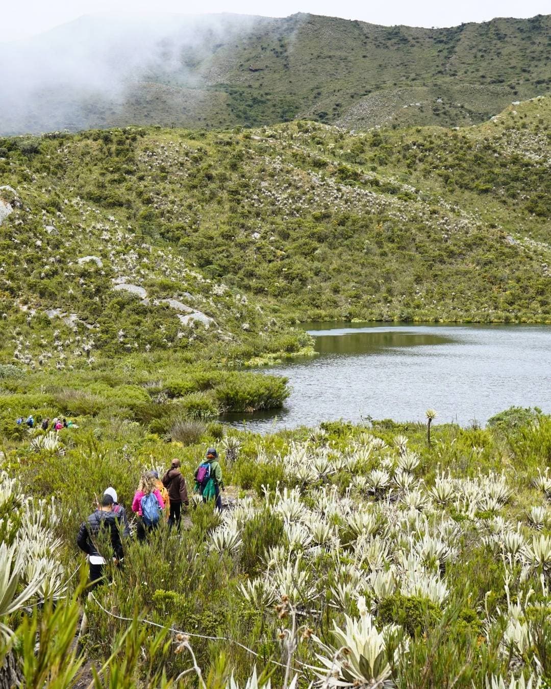 Lagunas de Siecha: Caminata en el páramo de Chingaza