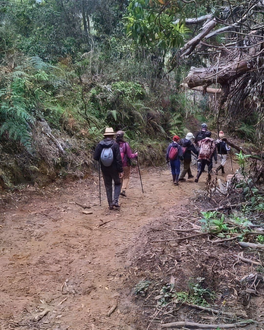 Murillo, Tolima: Parque Nacional Natural Los Nevados & Termales La Campanita