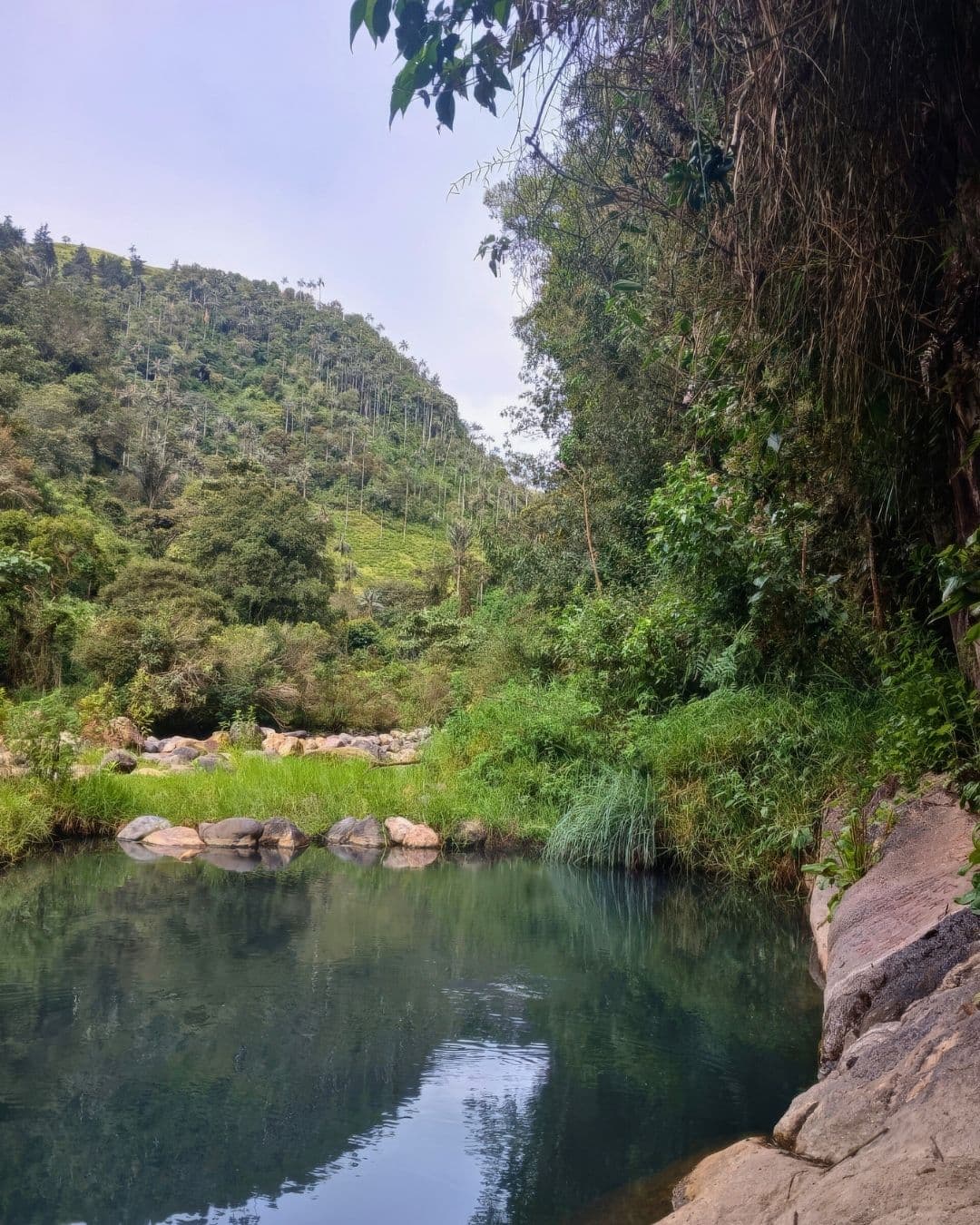Murillo, Tolima: Parque Nacional Natural Los Nevados & Termales La Campanita